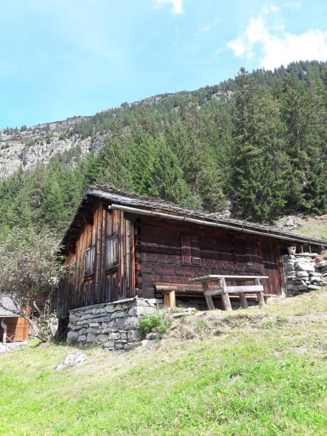 Gaestehaus Sahler 사슈른 외부 사진